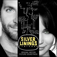 cover_silver_linings_playbook.jpg