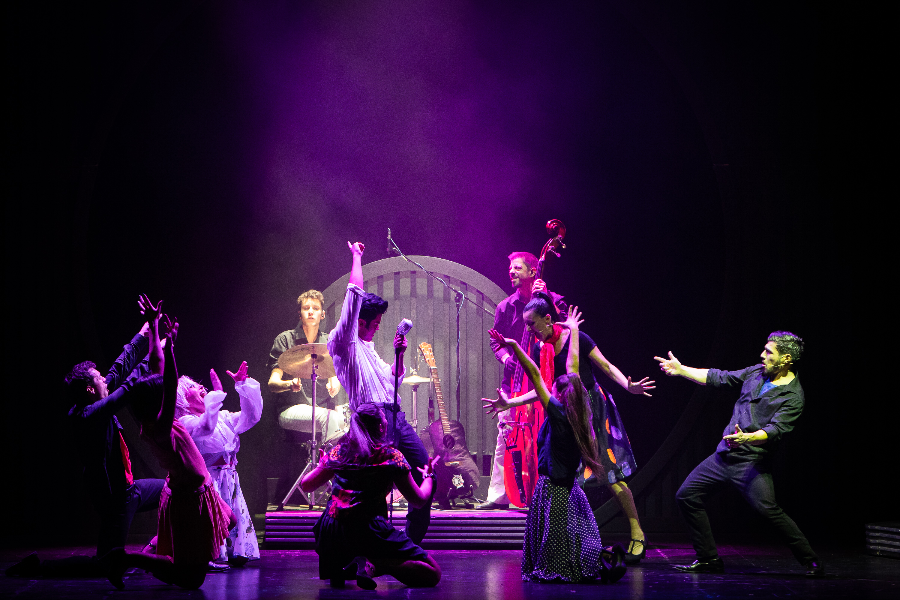 foto elvis the musical 3