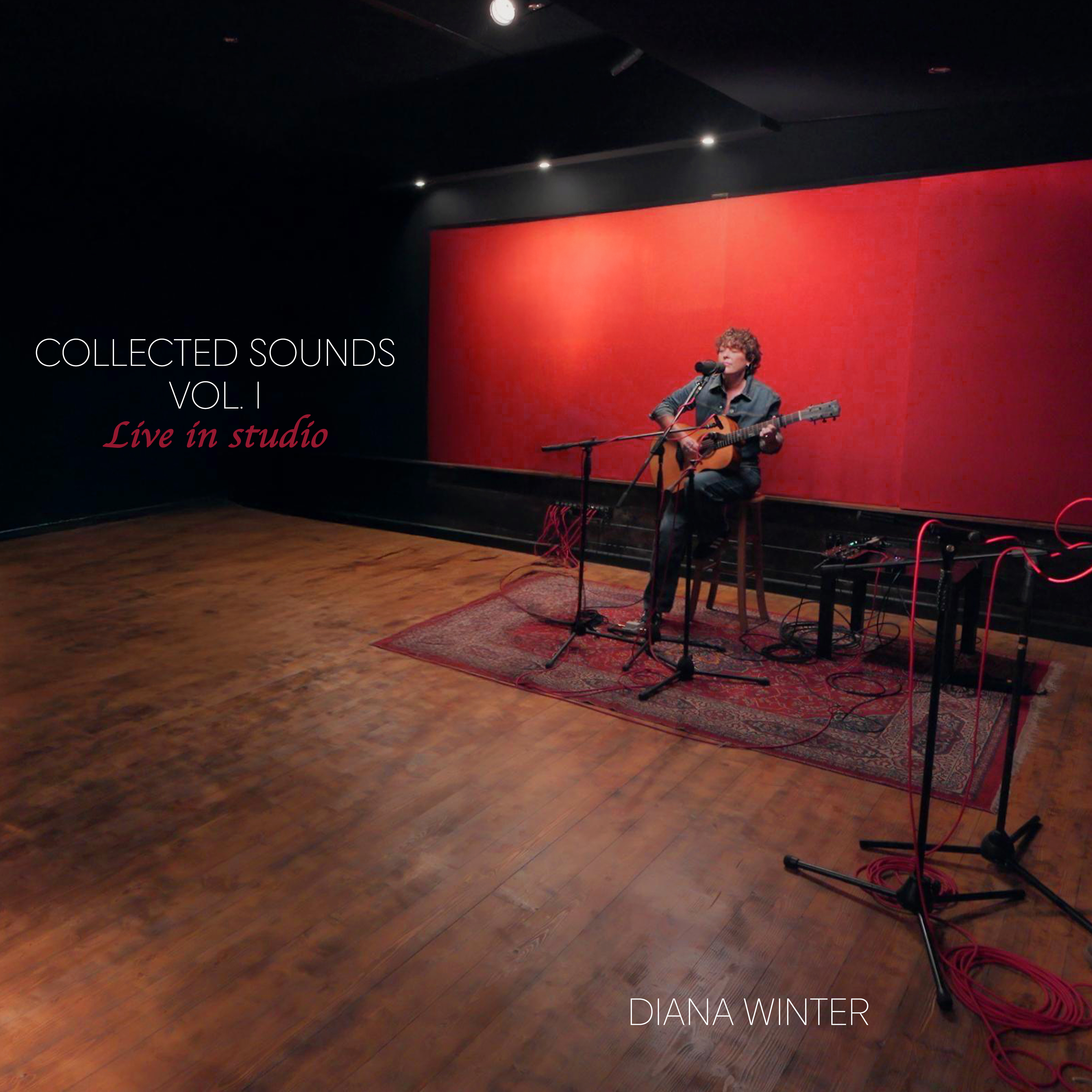 Diana Winter Collected Sounds Vol. I Cover Art