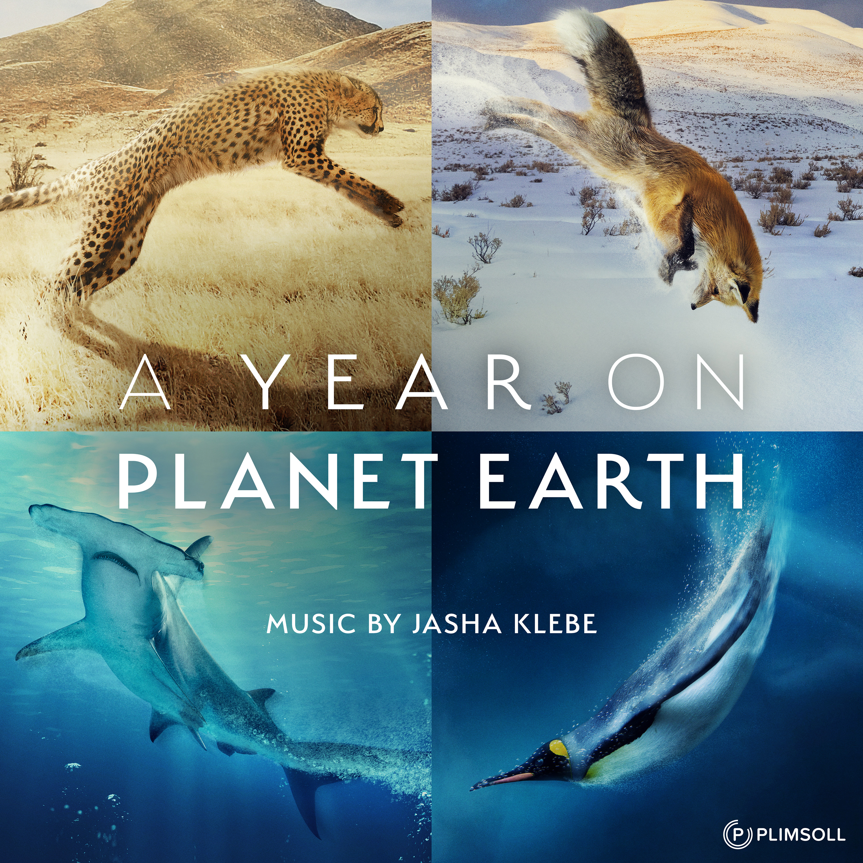 cover a year on planet earth