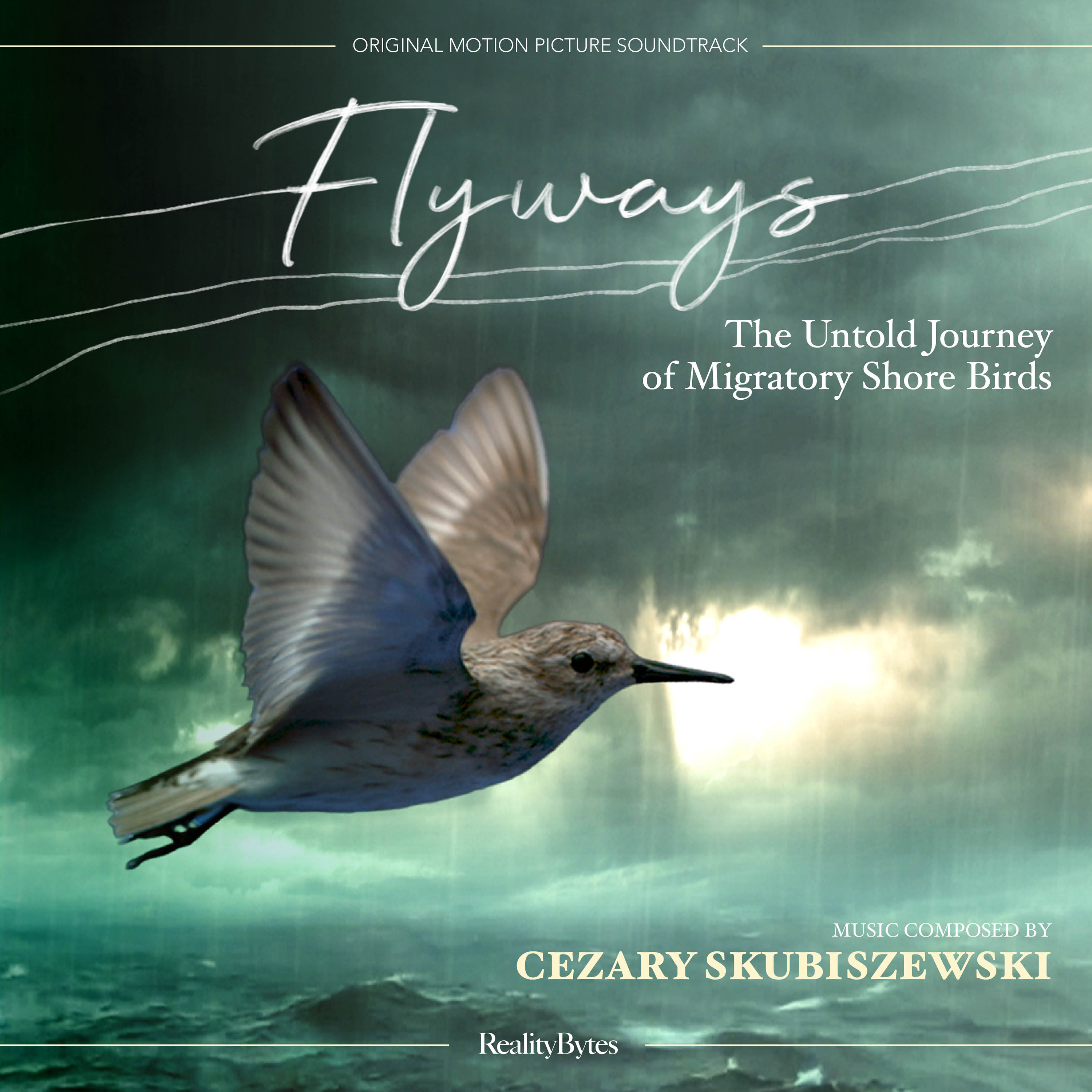 cover flyways
