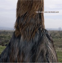 cover_music_fro_wilder_mann.jpg