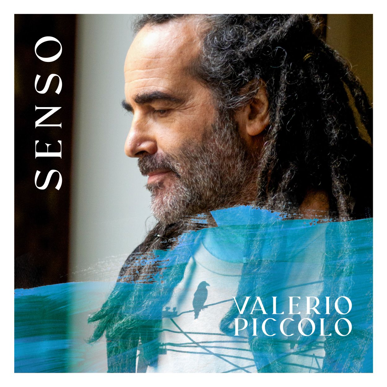 cover senso