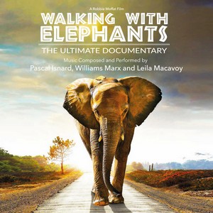 cover walking with elephants