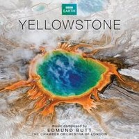 cover yellowstone