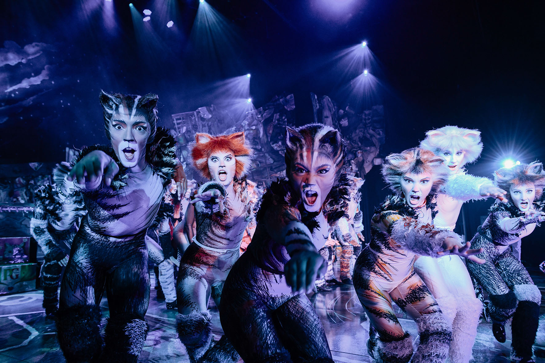 foto cats musical milano 1