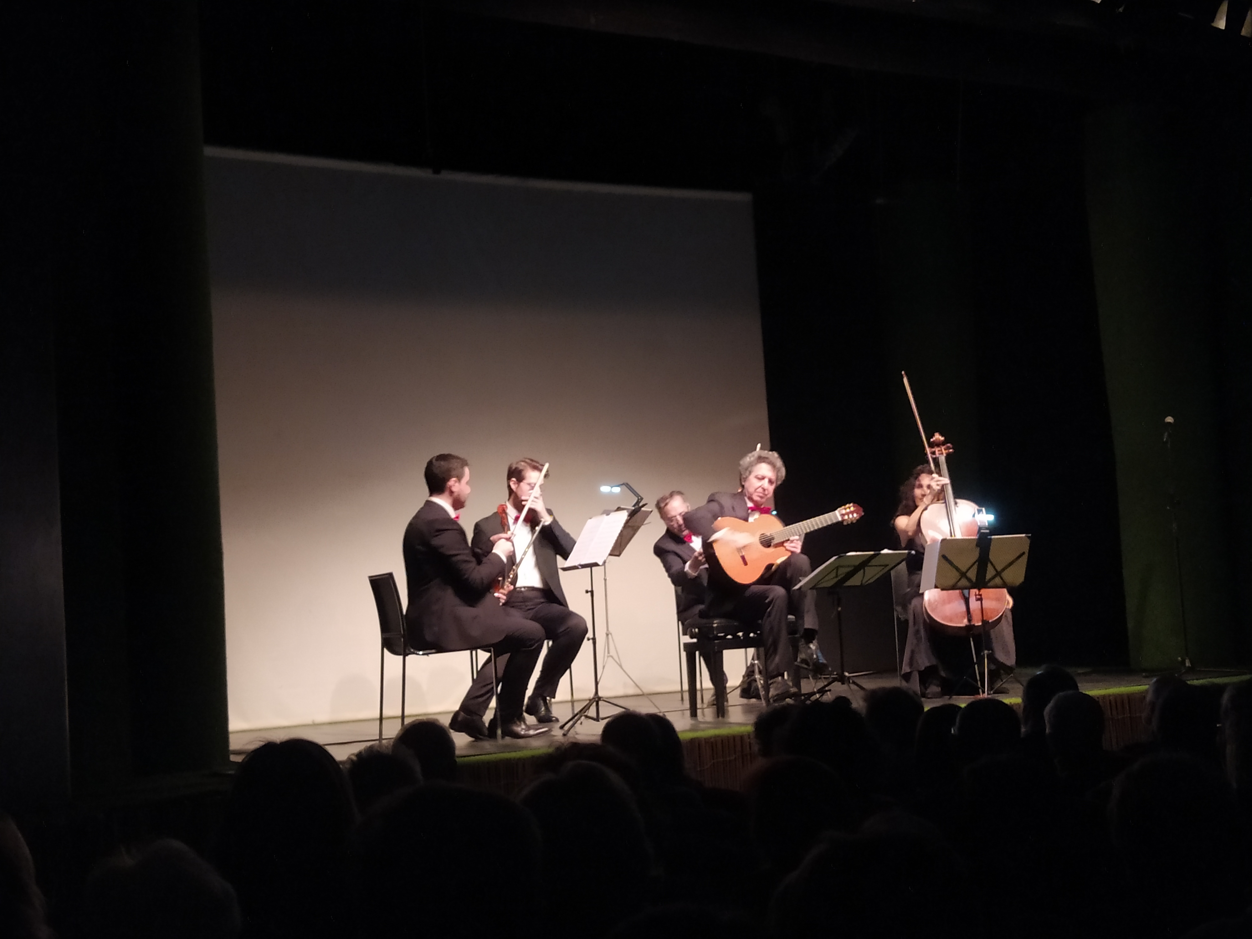 ColonneSonore.Net foto concerto sceneggiati porroni 11