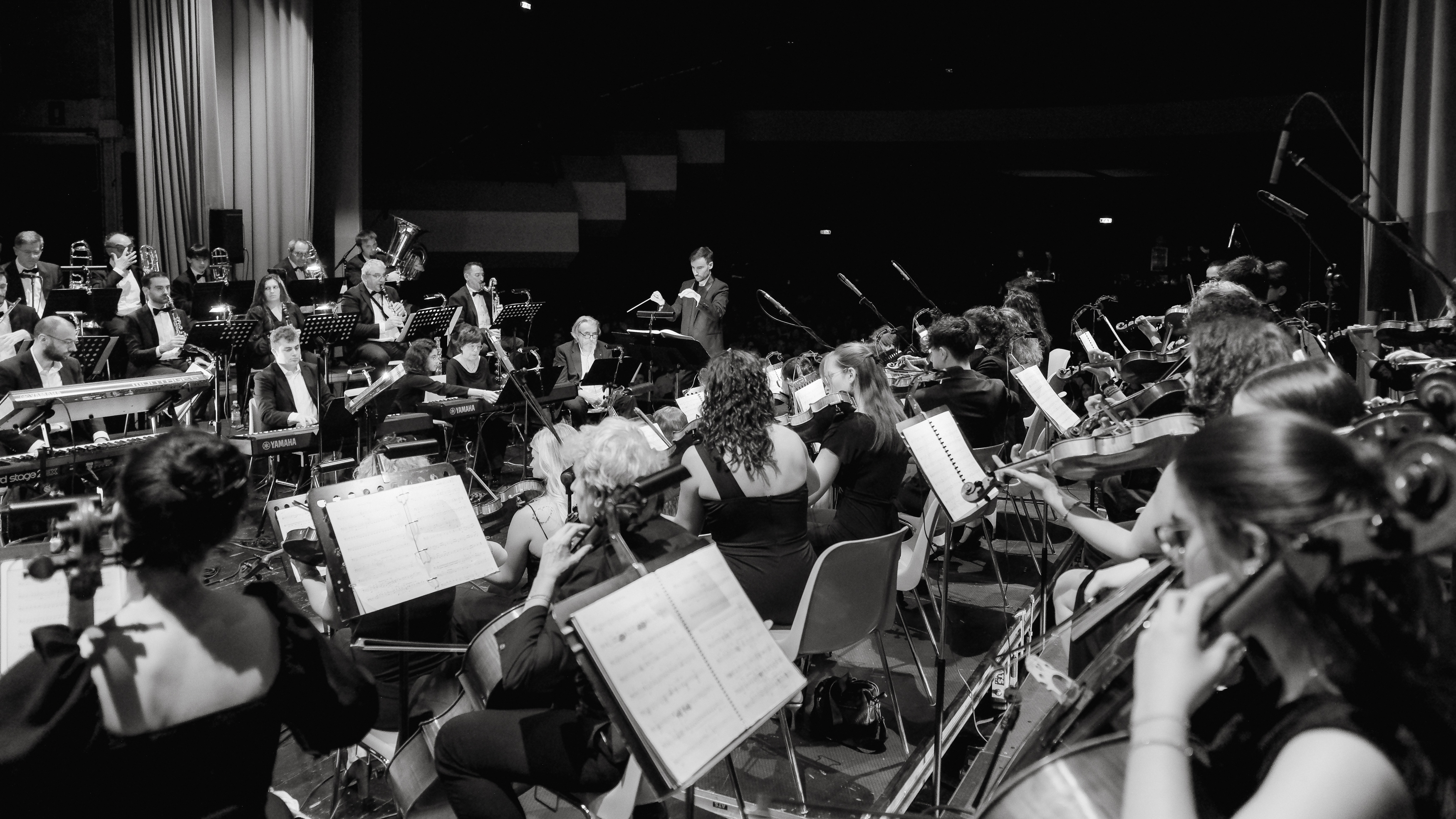 foto concerto zimmer alba 7