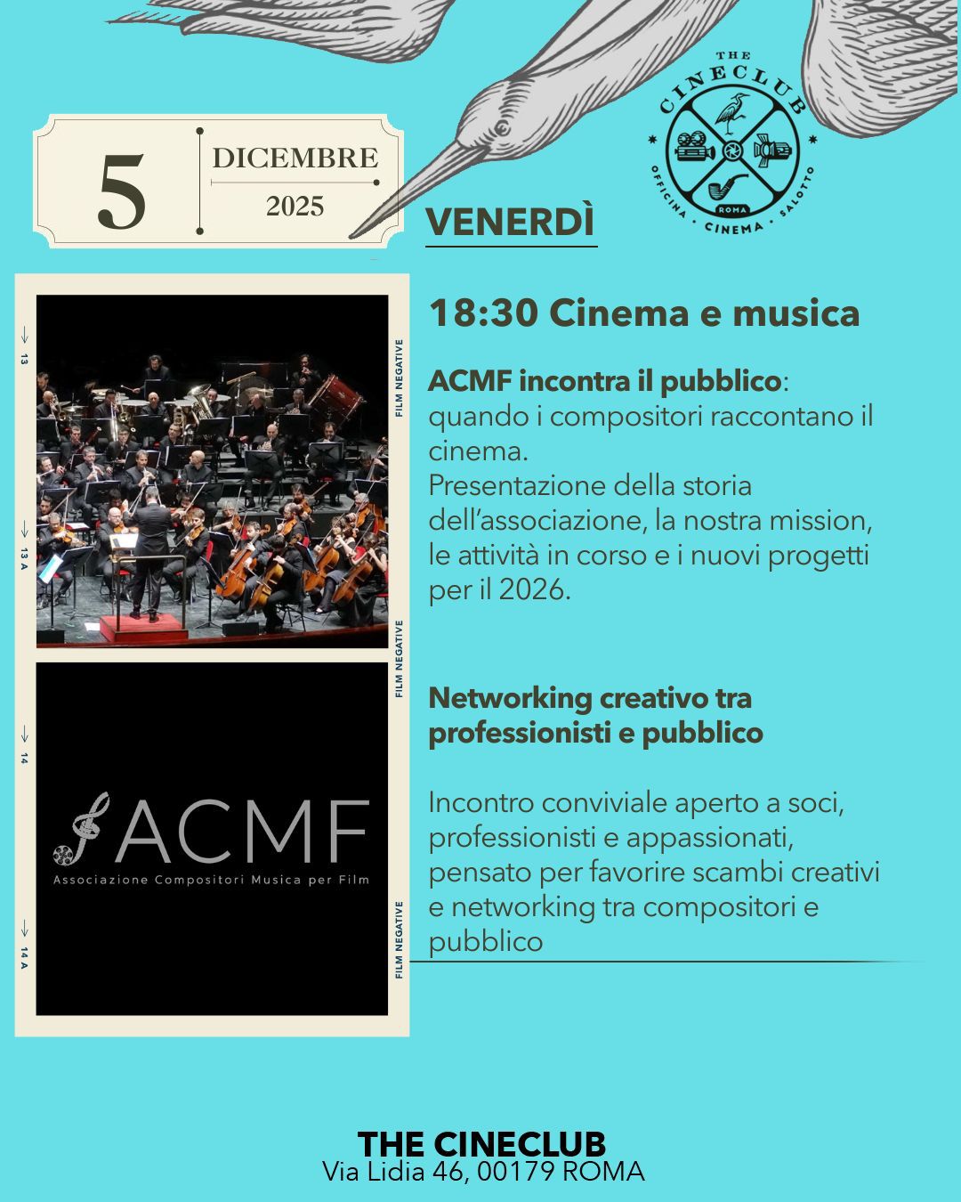 locandina acmf cineclub 2025