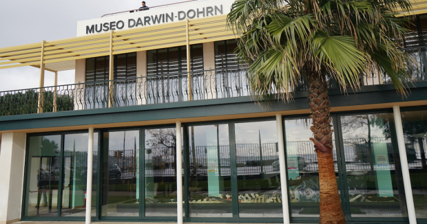 museo dadom