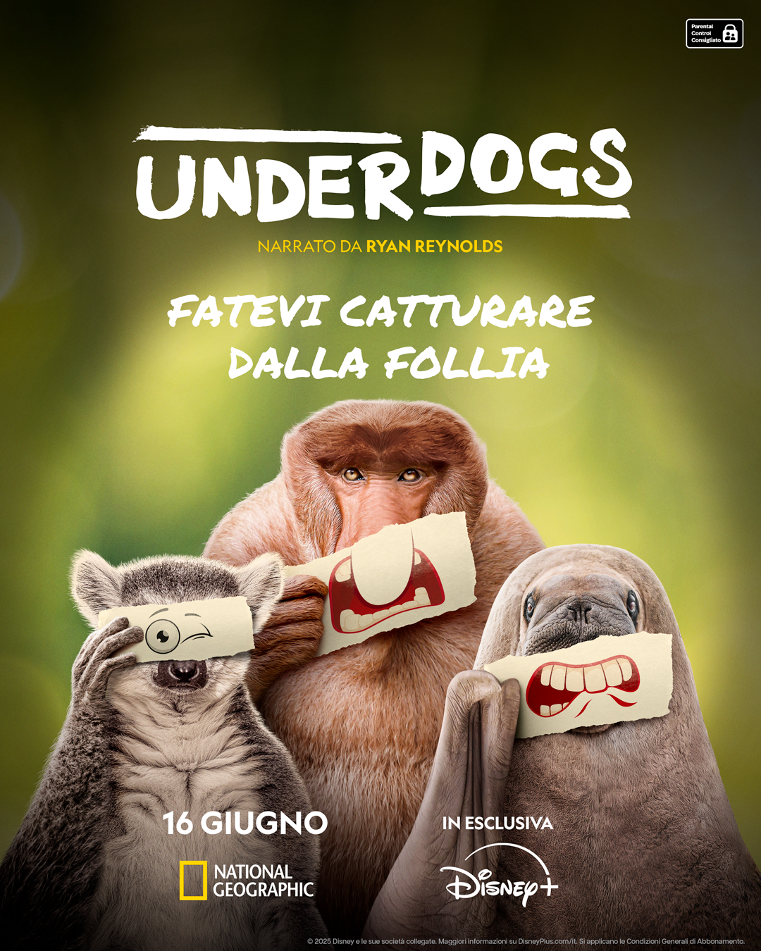 locandina underdogs